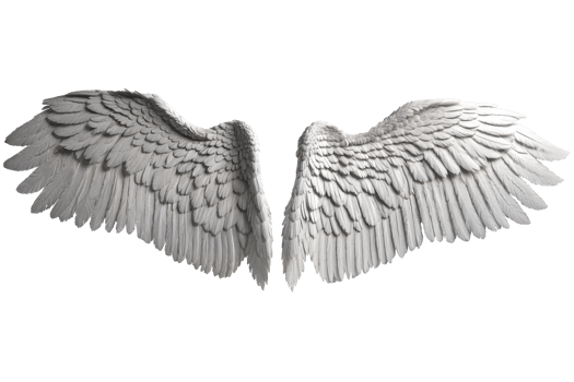 photorealistic angel wings png