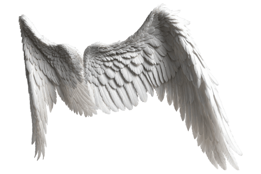 photorealistic angel wings png