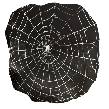 Monochrome vintage photo of halloween spiderweb cut out image png