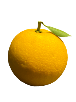 Simple Orange Citrus png