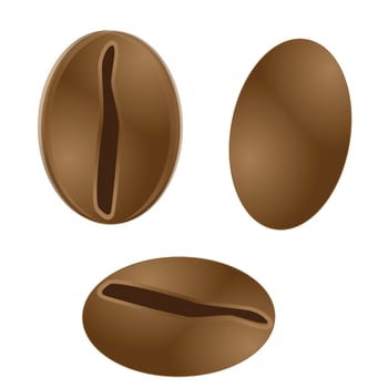 3D Realistic Coffee Beans vector