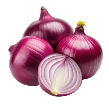Fresh Purple Onions With One Sliced Open Displayed on a Transparent Background png