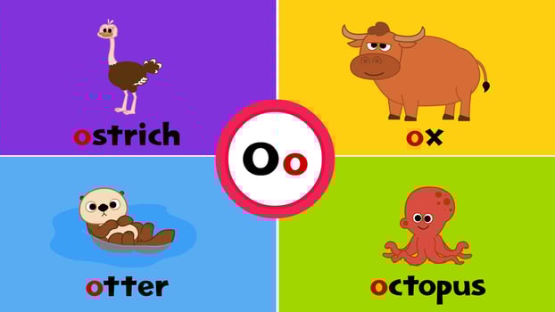 Letter O o Flashcard for kids with 4 words ostrich otter ox octopus vector
