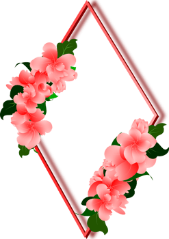 Cute flower arrangement clipart on transparent background pink frame border png