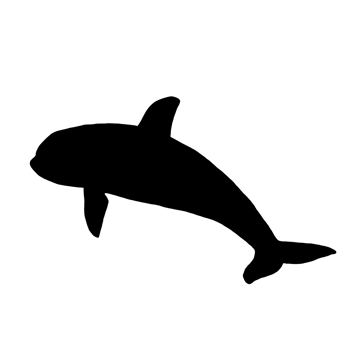 Black Whale Illustration - Whale Clip Art png