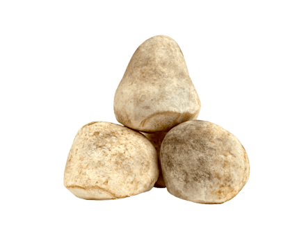 Straw mushroom isolated png