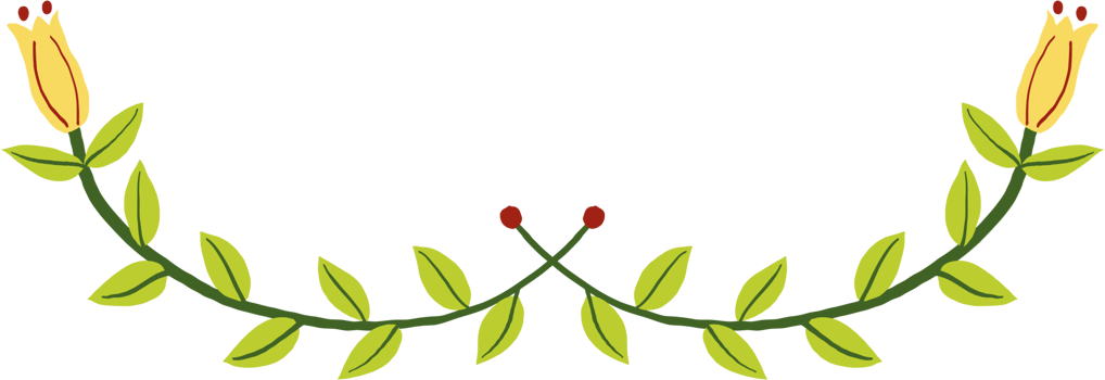 Floral and flower frame divider illustration. png
