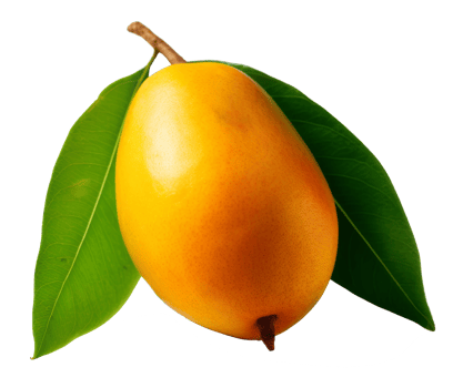 mango isolated on transparent background png