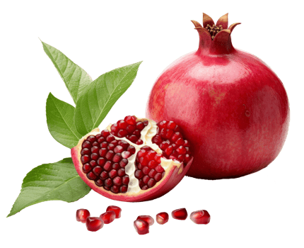 pomegrante isolated on transparent background png