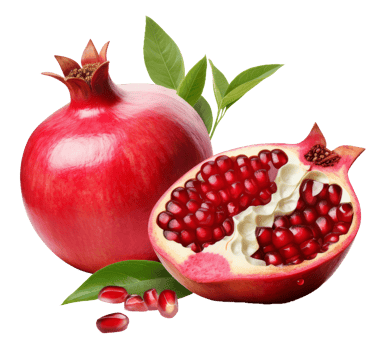pomegrante isolated on transparent background png