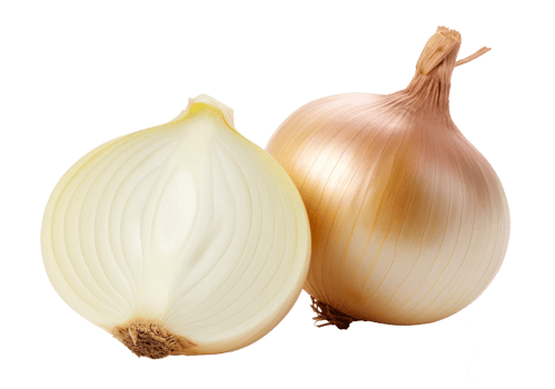 onions isolated on transparent background png