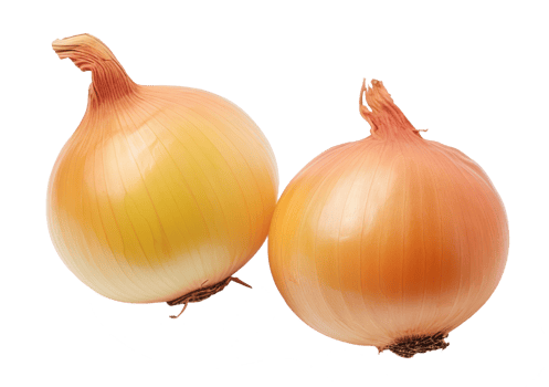 onions isolated on transparent background png
