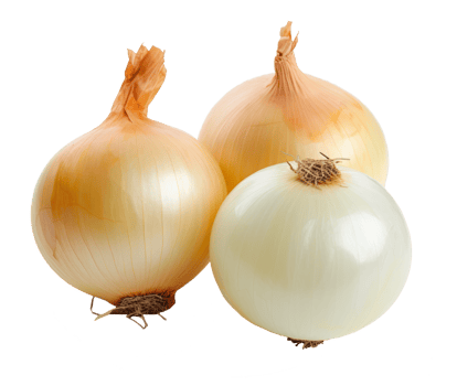 onions isolated on transparent background png