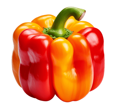 ball pepper isolated on transparent background png