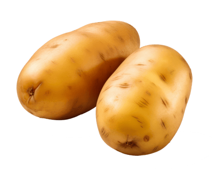 potato isolated on transparent background png