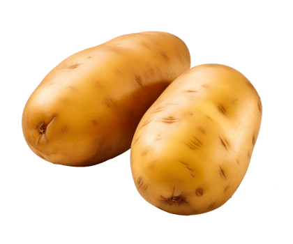 potato isolated on transparent background png