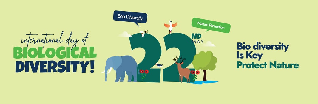 22nd May International Biological diversity cover banner. International biodiversity day banner, social media post with 22 written in big font different living species around it elephant, trees, birds vector