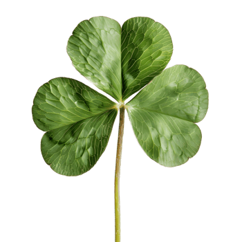 3D Rendering of a Clover Leaf on Transparent Background png