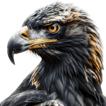 3D Rendering of a Golden eagle on Transparent Background png