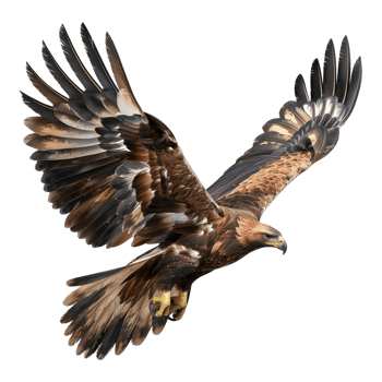 3D Rendering of a Golden eagle on Transparent Background png