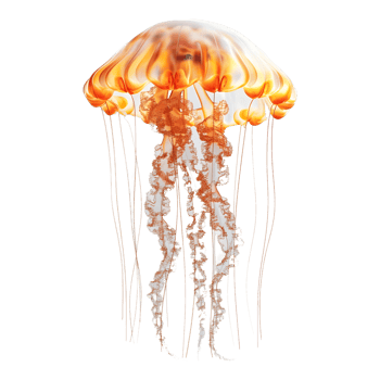 3D Rendering of a Jellyfish Transparent Background png
