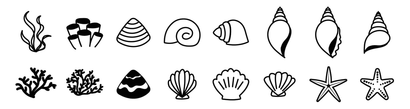 sea shell clamp starfish and coral reefs, beach animal icon cute outline vector