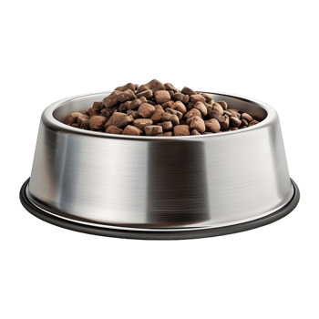 3D Rendering of a Dog Food in a Bowl Transparent Background png