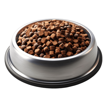 3D Rendering of a Dog Food in a Bowl Transparent Background png