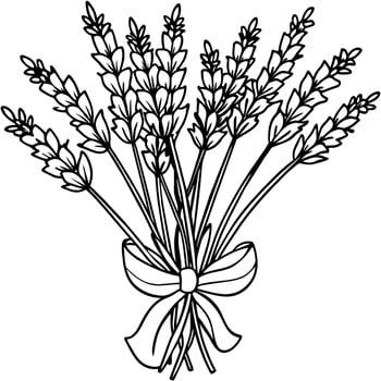Lavender flower outline illustration coloring book page design, Lavender black and white line art drawing coloring book pages for children and adults vector