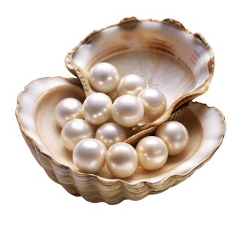 Radiant Pearls Nestled in a Seashell on a Transparent Background png
