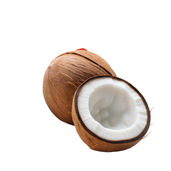 Fresh brown coconut cut in half showing white flesh png