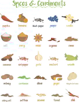 Set of 25 different culinary species and condiments in cartoon style. vector