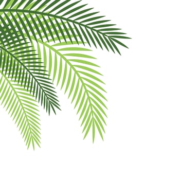 Palm Leaf Corner vector