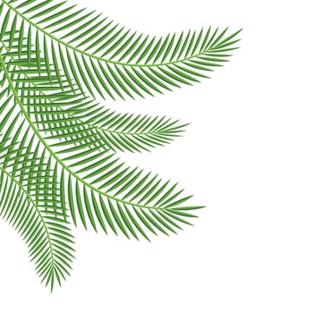 Palm Leaf Corner vector