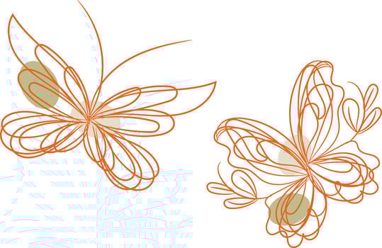 Butterfly outline with linear flat details collection vector