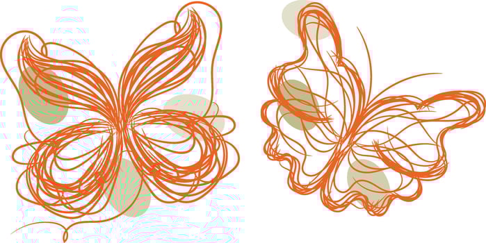 Butterfly outline with linear flat details collection vector
