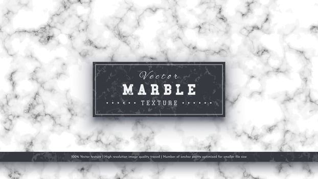 Marble Luxury Texture vector