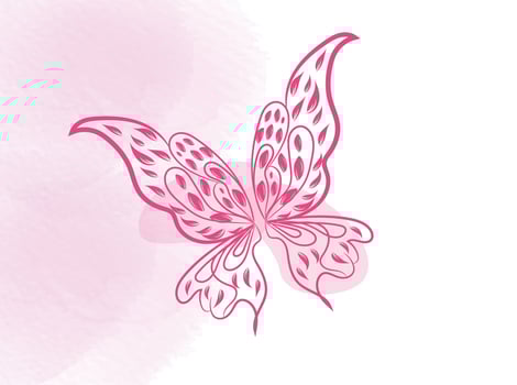 Beautiful butterfly outline illustration vector