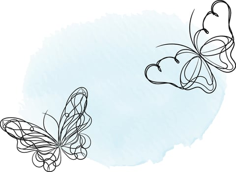 Beautiful butterfly outline illustration vector