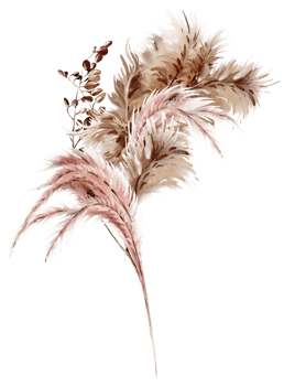 Watercolor bouquet with pampass and herbs. Illustration png