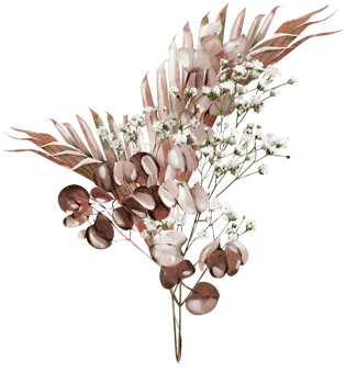 Watercolor bouquet with pampass and herbs. Illustration png