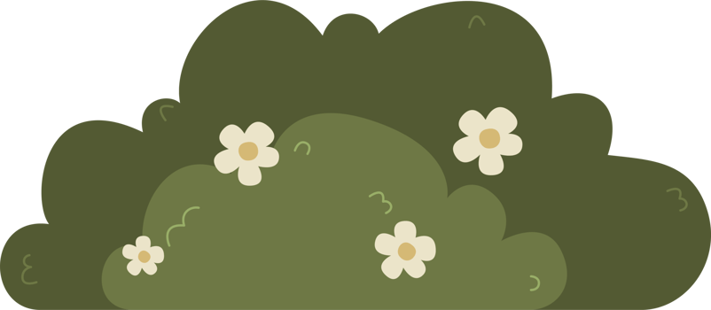 bush nature plant png