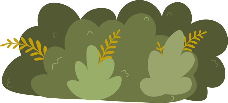bush nature plant png