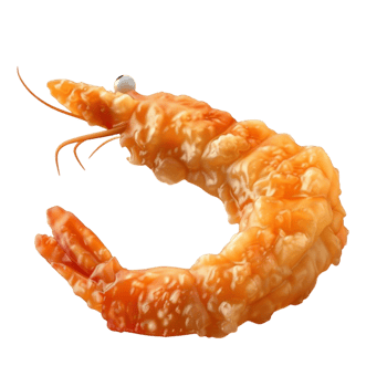 Dried Shrimp in Everyday Cooking png