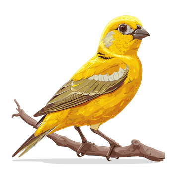 Canary Cartoon Flat Color png