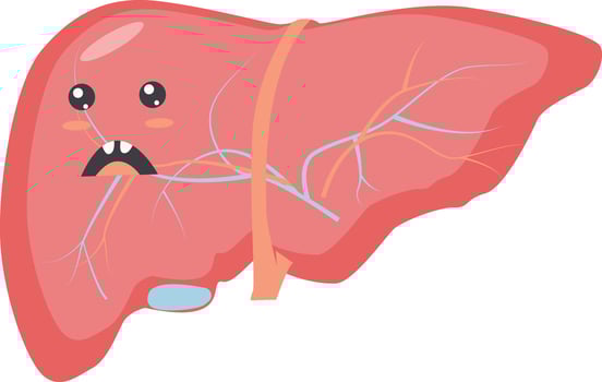 Cute Human Internal Organ Character. in Cartoon Shapes. Human Organs Anatomy. Isolated Illustration vector