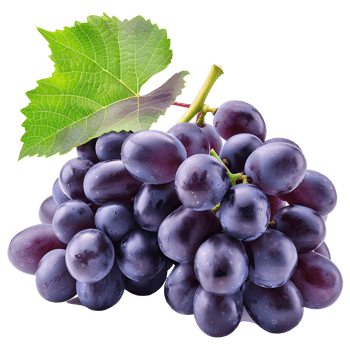 Grape Fruits, Fresh and Juicy, Isolated on Transparent Background. png