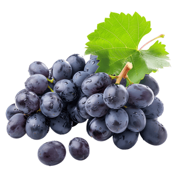 Grape Fruits, Fresh and Juicy, Isolated on Transparent Background. png