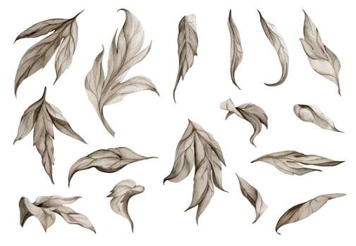 Hand drawn watercolor grisaille monochrome flower, bush, tree leaves, stems, branches. Single element isolated on white background. Invitations, wedding or greeting cards, floral shop, print, textile vector