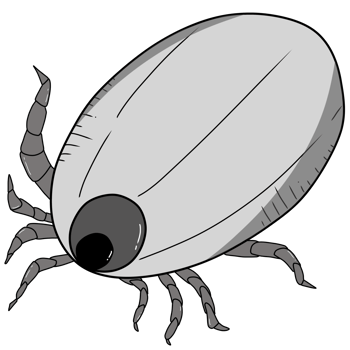 tick created by hand drawing png